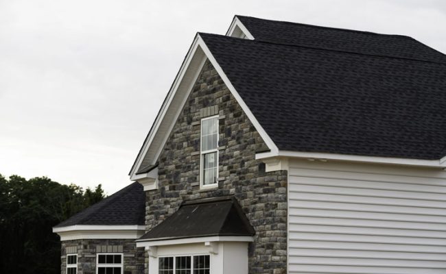 Depositphotos_407399752_S 1