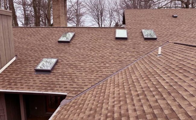 skylight_colorcorrected 3